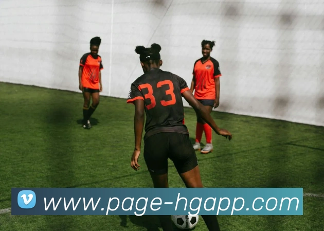 多彩内容专区